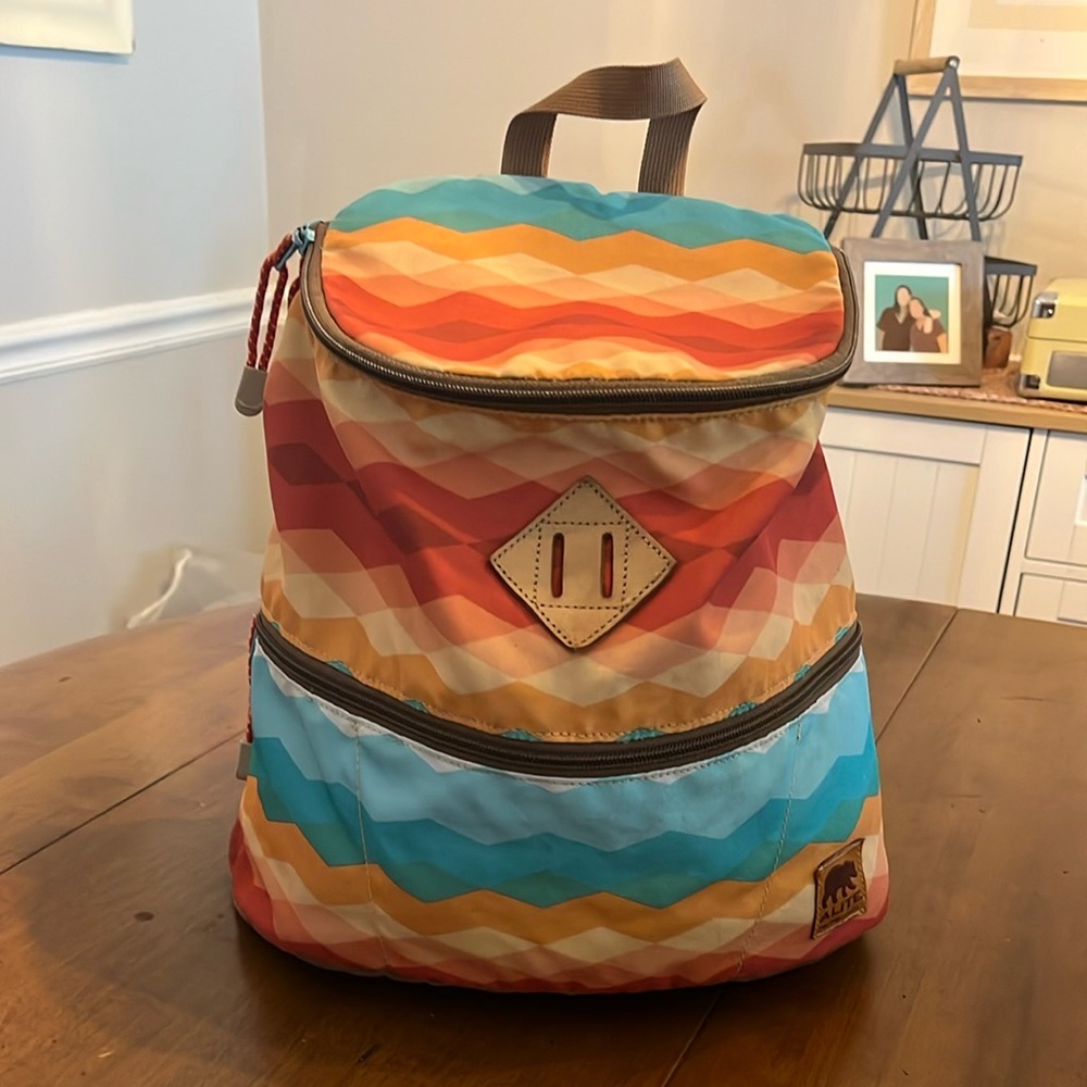 Colorful Chevron Geometric Alite Backpack